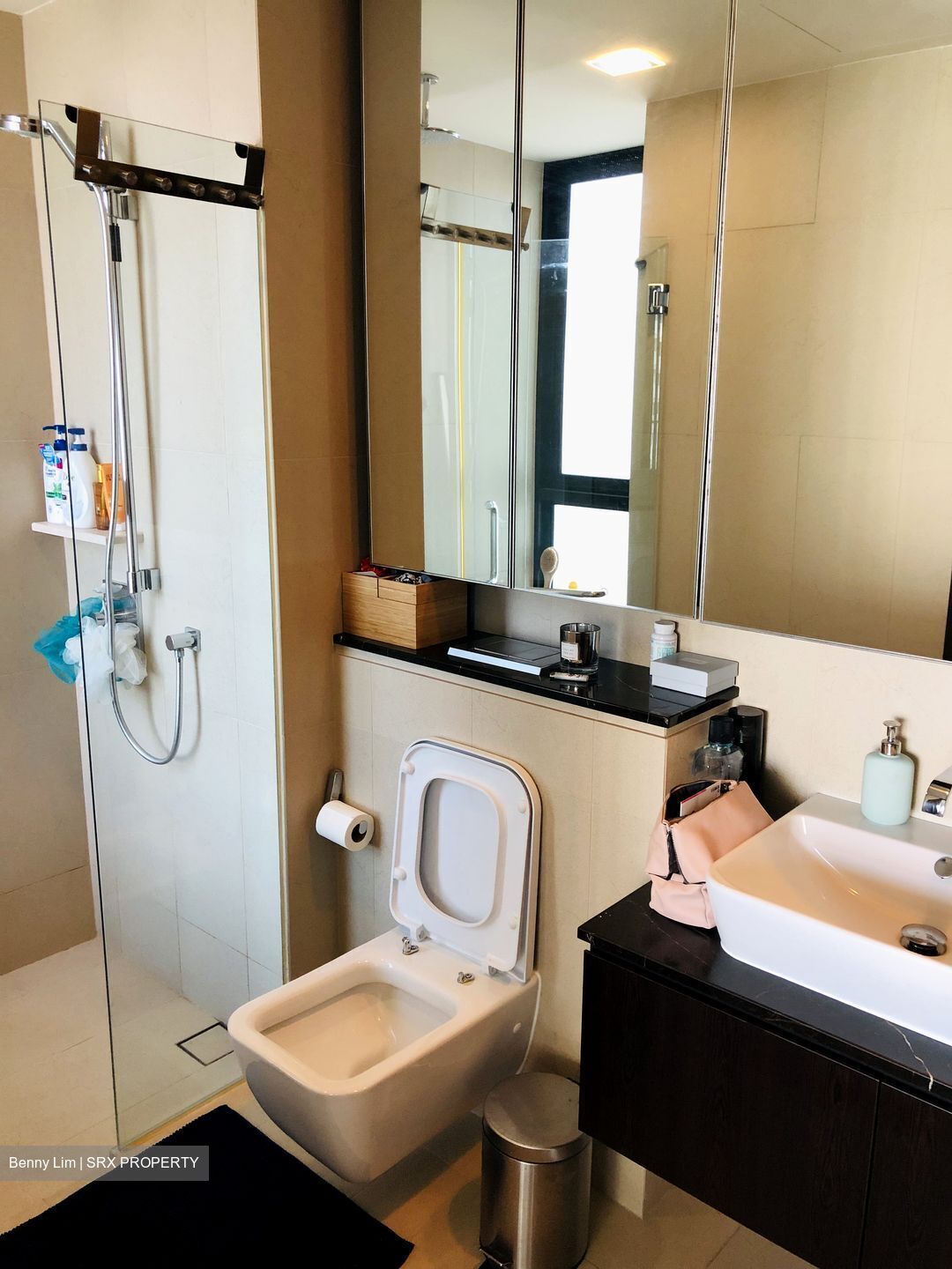 Spottiswoode Residences (D2), Condominium #322285151